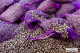 Foto Reise Provence - Südfrankreich